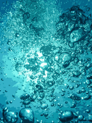 2021 커뮤러닝로그