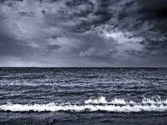 황홀경과 혼란의 협주.