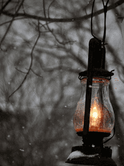 별의 걸음: 재앙의 그림자 로그