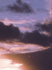 자캐 및 기타 드림