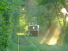 돌고래는 죽어서 가죽을 남긴다