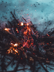 좀비 아포칼립스