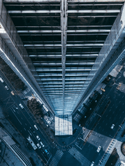 스텔라 고등학교 괴수처리반