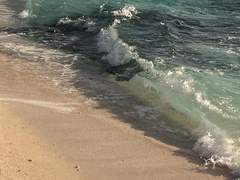 우린 여름이 오면 헤어지기로 했잖아