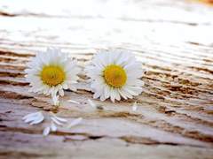 [정멋커 2기 프로필]