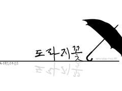 [죠솔에이]도라지꽃