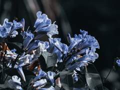 月亮不发光的那一面