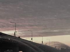 세상에 내 마음 같은 사람은 나밖에 없다