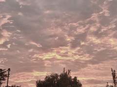 무심코 던진 돌에 개구리는 맞아 죽는다고 했다