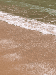 윤기에게 온 마음 다한 단편들