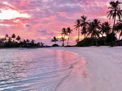 [알파윌] Fair Melusina 下