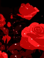 문스독 다자아츠