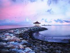 비단잉어의 爱情는 언제까지나,