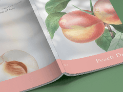 사쿠아츠 Kick It , 아츠키타 Summer breeze