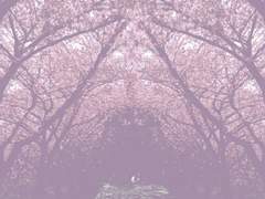 [백망되/현대팀] 기록을 되밟다. (웹공개)