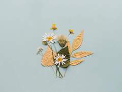 1학년 1반 20번 지수원