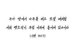 [ 엘빌레 ] 부대끼는 것들