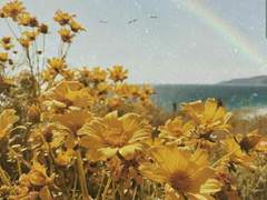 내일은 내일의 해가 밝을거에요.