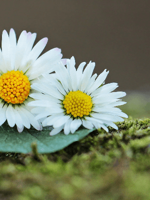 노래 좋아하나요?