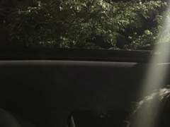 그 긴 시간 동안 고작 나를 견뎌내게 만들었을까