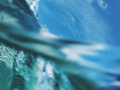 [방어계 | 성인] 태 휘