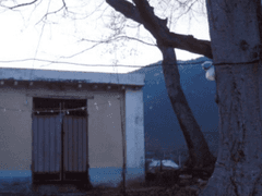 금줄을 밟고도 살아남는 법 9