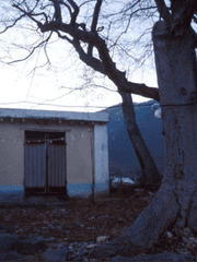 금줄을 밟고도 살아남는 법