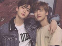 복숭아 길들이기