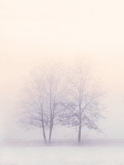 봄으로 향하는 여정