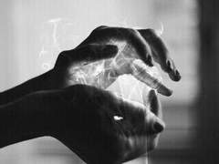 센티넬 캐들과 먼치킨 가이드 드림주가 보고싶다.