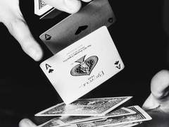 이건 나 자신에 관한 기록이다 .