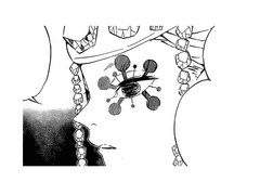 [우즈이 드림] 2화 모순