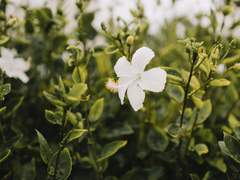 ※버리지 말고 꼭 봐주세요!