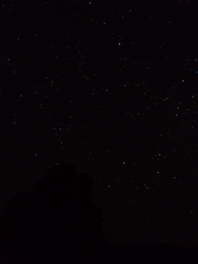 포켓몬 썰 모음