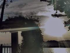 내 부재가 너의 안녕이길 바라는 마음으로