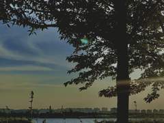 그 말은 하지 않기로 했다