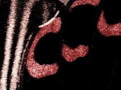 로제르한 A. 아마테아 | 19 | XY | 흡혈귀 | 후작