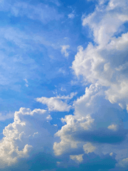 아무도 안 물어봤지만