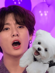 우리 집에 낮져밤이 말티꾹 있다