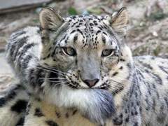 🎶아름다운 선율 위를 걷는자