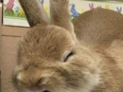 현성기영 백업2