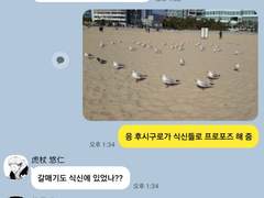 ꕤ주술회전ꕤ 카톡 카피페 (6)