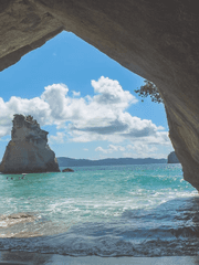 원피스 단편글 창구