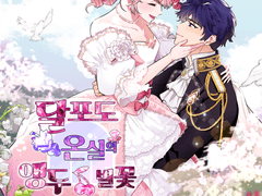 달포도 온실의 앵두별꽃