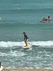 모두 서핑하세요