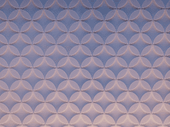 나의 어린 구원자를 위해.