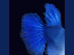 내 지평선의 전부에게