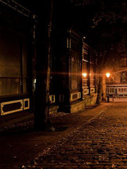 정인지 사랑인지