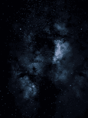 나의 모든 죽음은 그곳에서 비롯되었다