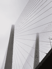 놓지 않기로 해(完)